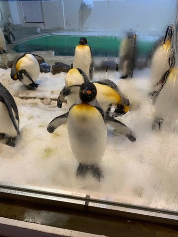 施設写真333