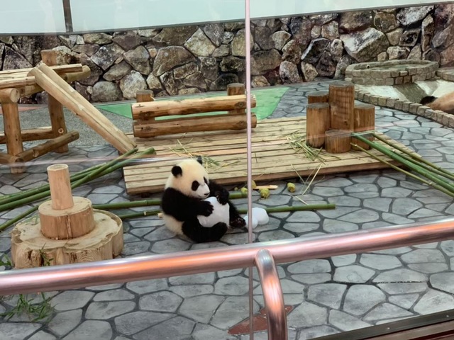 施設写真332