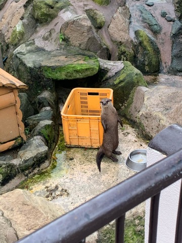 施設写真243