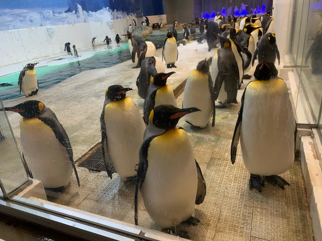 施設写真242