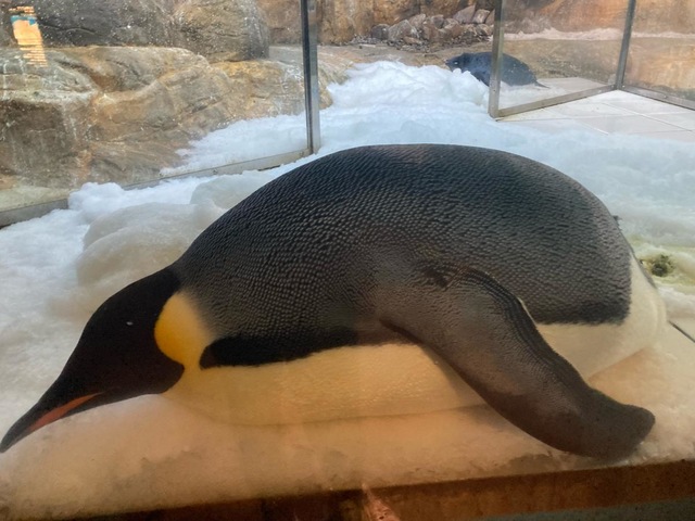 施設写真227