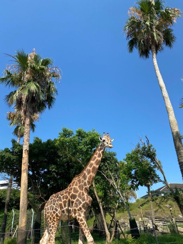 施設写真255