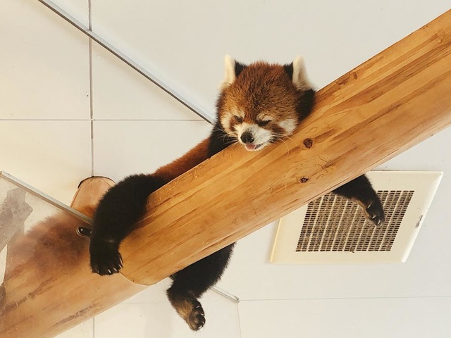 施設写真181