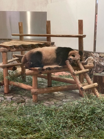 施設写真137