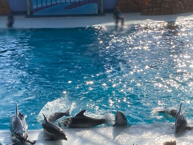 施設写真134