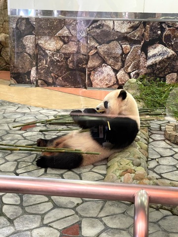 施設写真167
