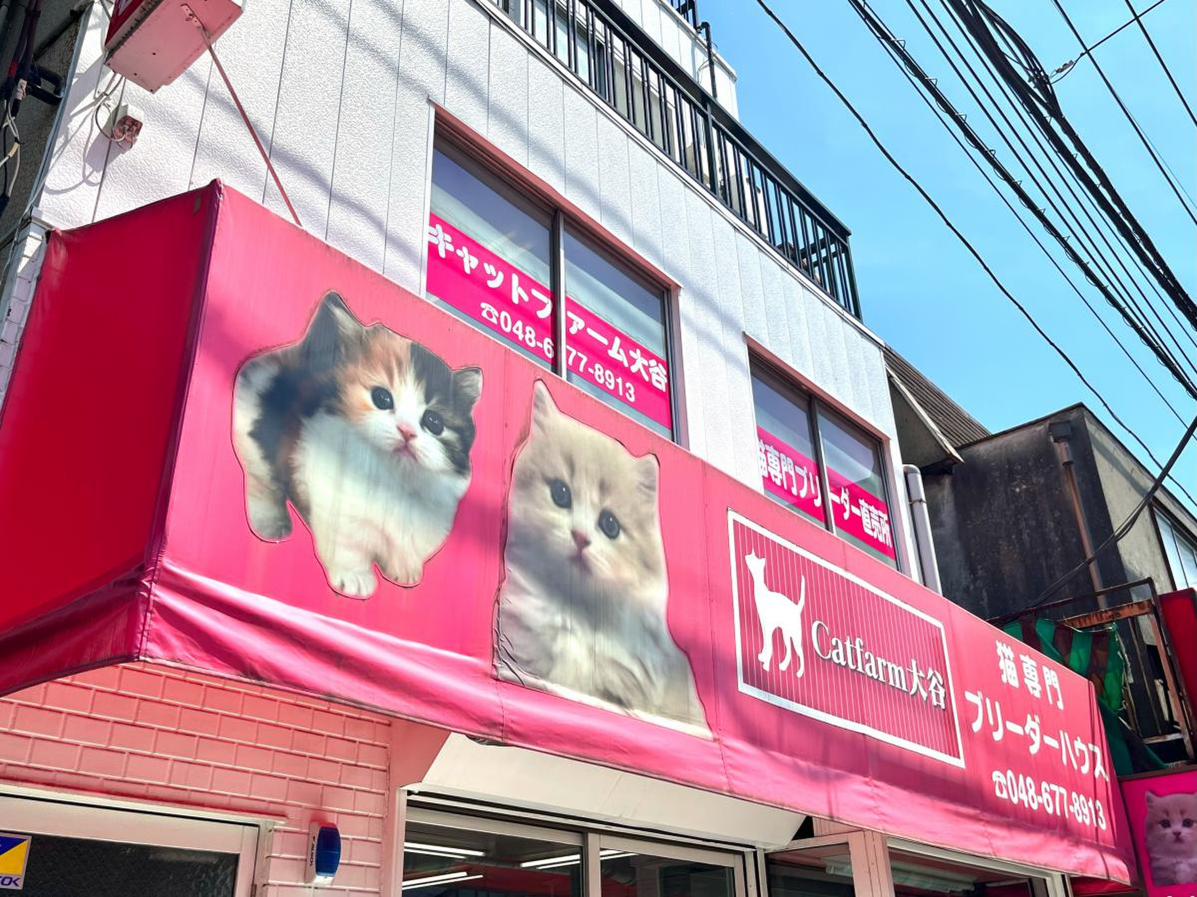 当時のメディア報道・掲載写真