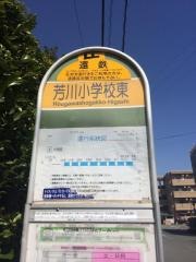 「芳川小学校東」バス停留所