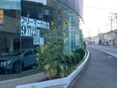 日産神奈川　寒川店