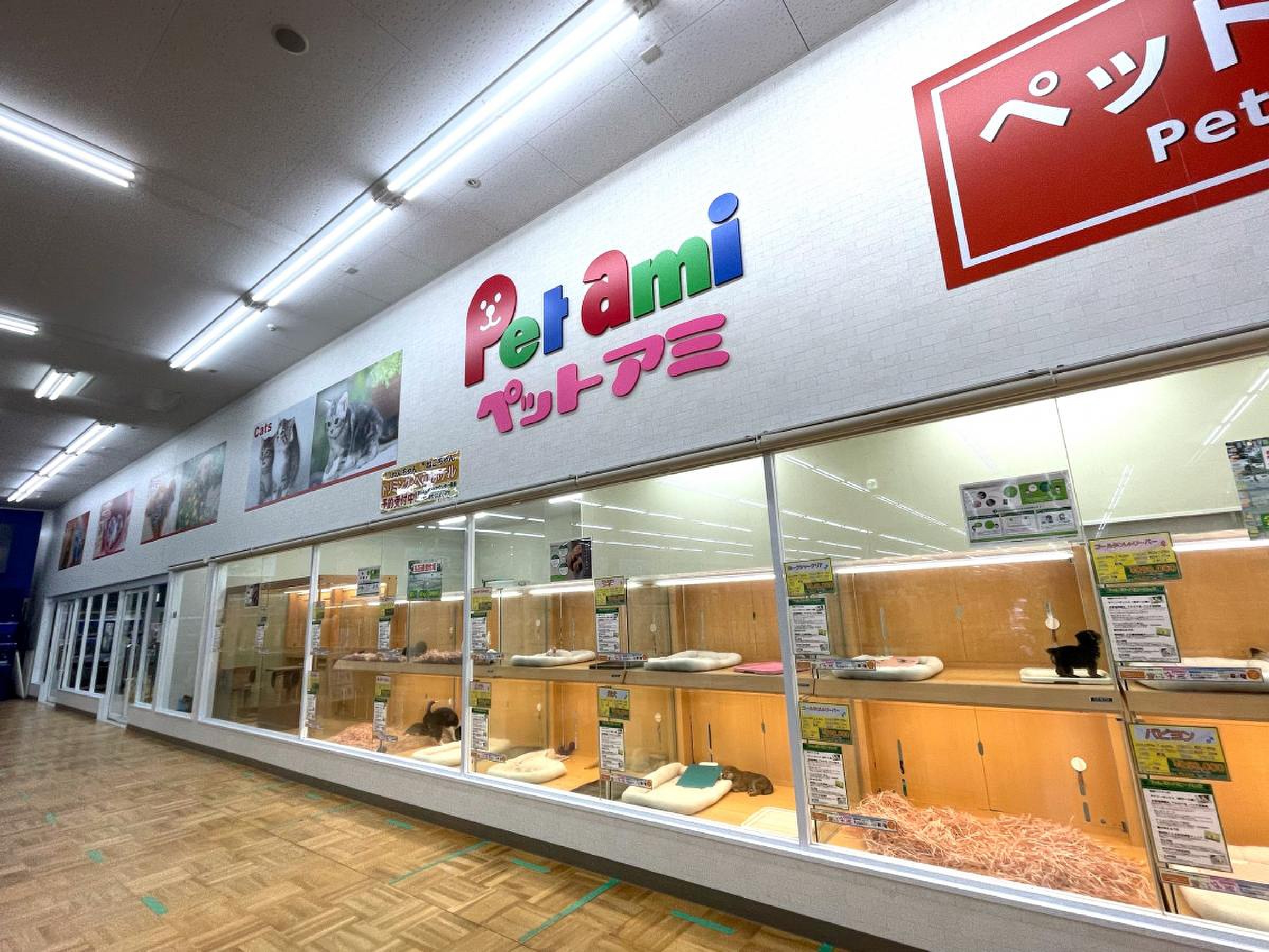 コメリ パワー 河渡 店