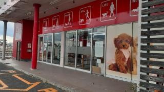 ペットショップ犬の家&猫の里　本巣店