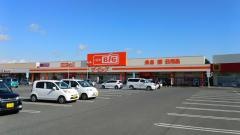 ザ・ビッグ金成店