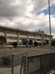 豊田小学校