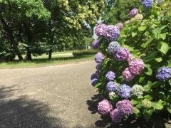 天白渓下池公園