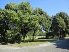 天白渓下池公園