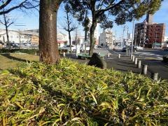氷室街園