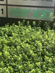 ローソンストア100　西区新町店