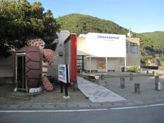 日和佐うみがめ博物館
