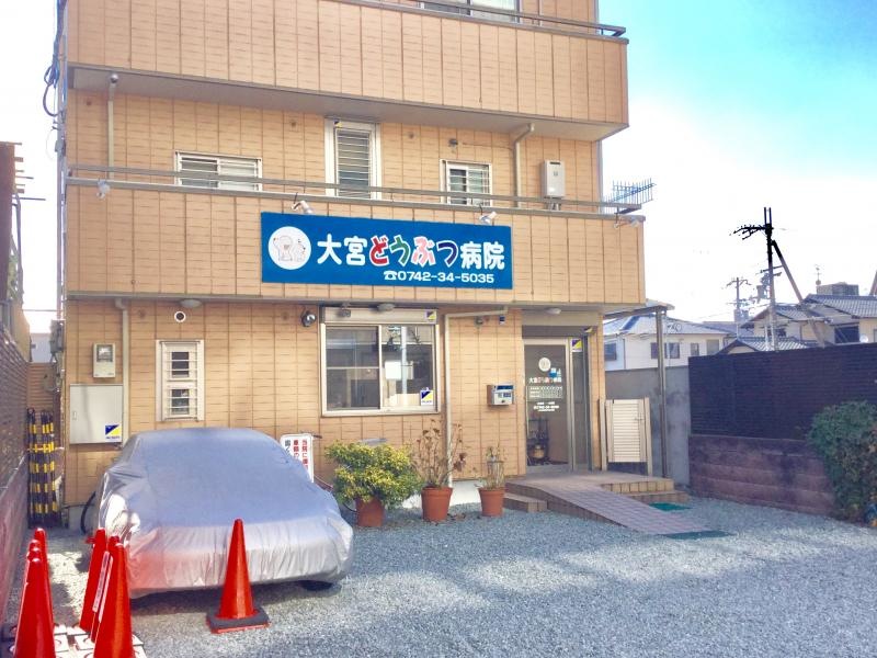 大宮どうぶつ病院