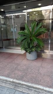 大場歯科医院