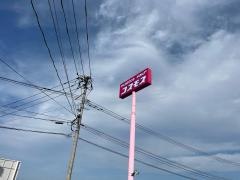 ドラッグストアコスモス　中津田尻店