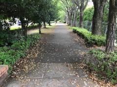 戸祭台6号緑地