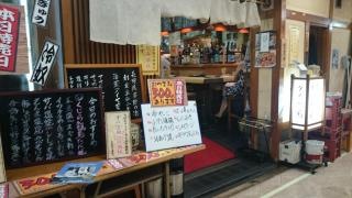 ダイヤ菊