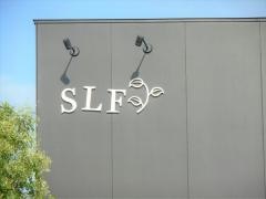 ＳＬＦ