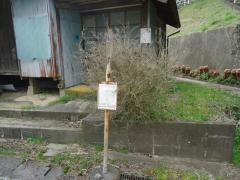 「駒返」バス停留所