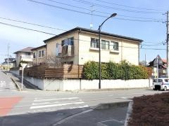 ぶなの森