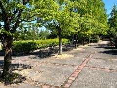 上冨居公園