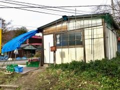 松井りんご園