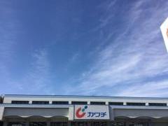 カワチ薬品　新田駅前店