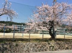 山口市立宮野中学校