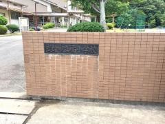 橘小学校