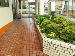 内田耳鼻咽喉科
