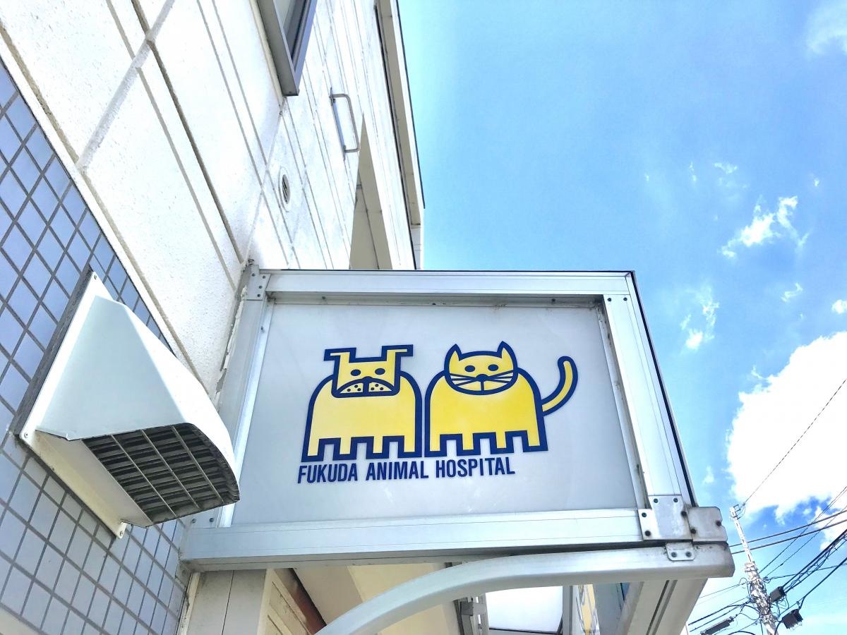 福田動物病院