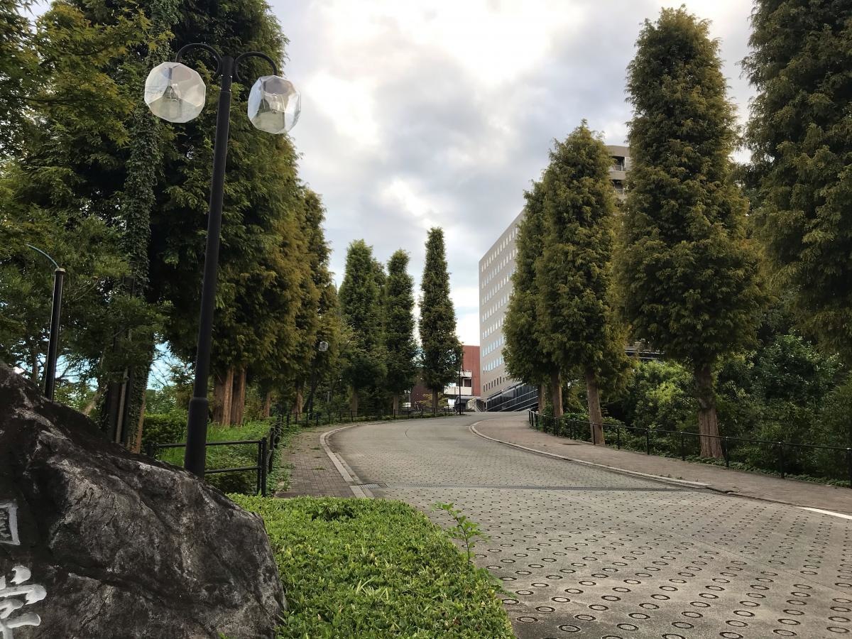 坂道です。