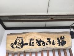 たぬきと猫