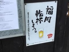 たぬきと猫