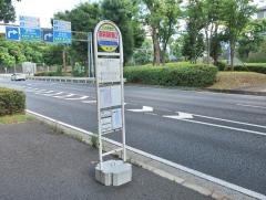 「新栄高校南口」バス停留所