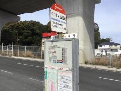 「つつじ丘団地」バス停留所