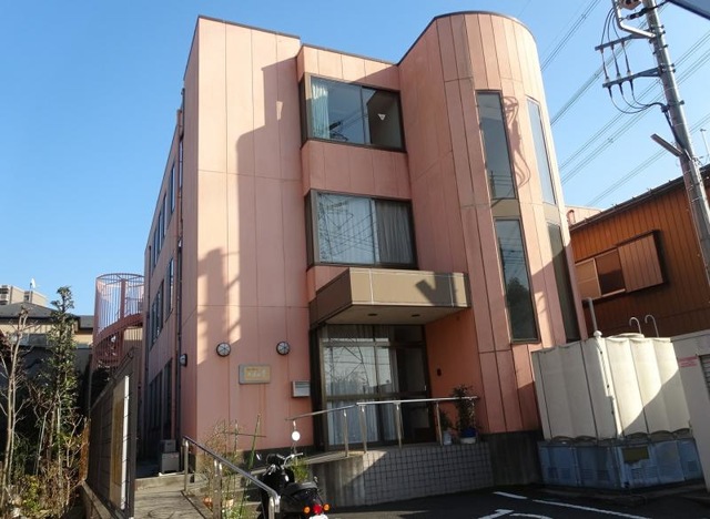 かすみ草
