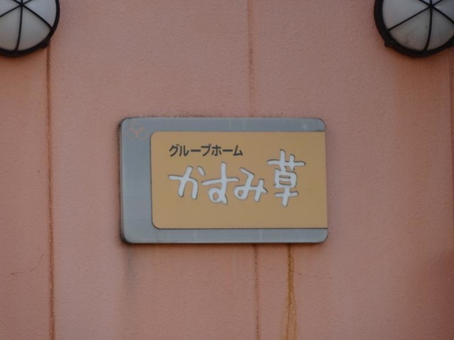かすみ草