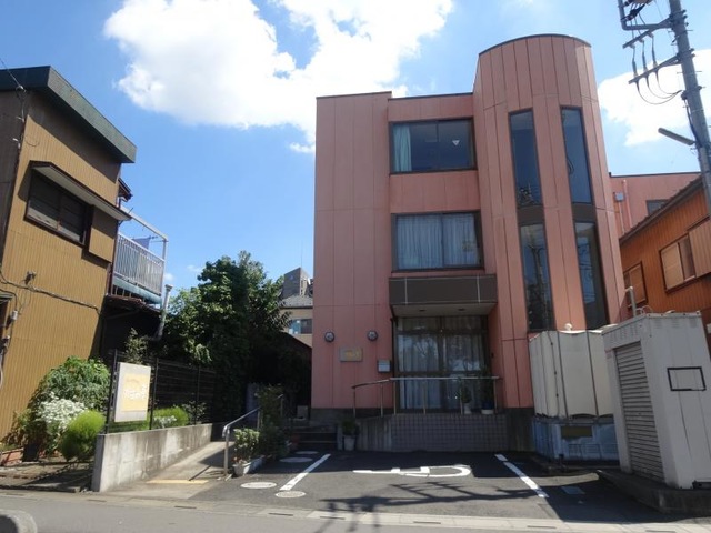 かすみ草