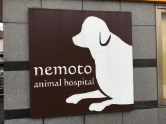 ねもと犬猫病院