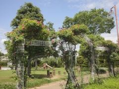 花の公園