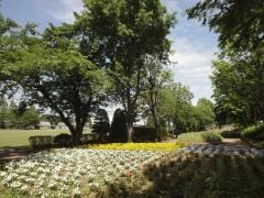 花の公園