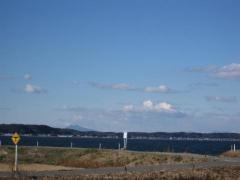 霞ヶ浦北浦金上ワンド