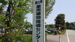 富山県薬用植物指導センター